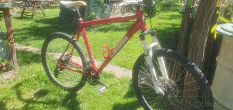Pells razzer XL