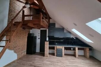 Byt 1+kk+ zvýšené lůžko na spaní, Slovany, Plzen