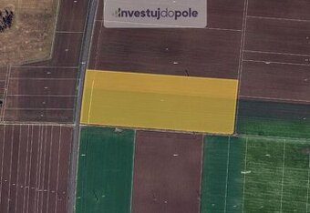 Prodej pole v k.ú. Břest