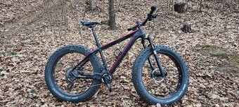 fatbike haibike