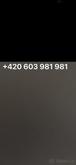 Zlate číslo 603 981 981