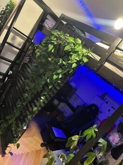 Patrová postel velká - Stora / Ikea