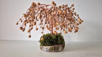 Stromy Života A Štěstí z jaspis mookai