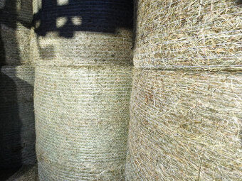 Kvalitní bio seno v suchu 150x120 čisté a bez plísně