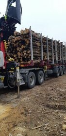 Prodej celé pobočky - výroba palivového dřeva