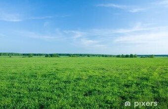 Louka, pozemek