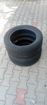 Barum Polaris 5 225/50 R17