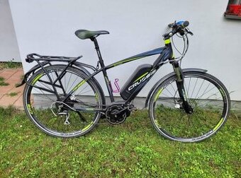 Elektrokolo Crussis E-Gordo 7.3 (19")