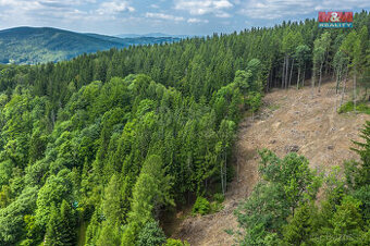 Prodej lesa, 6696 m², Tanvald