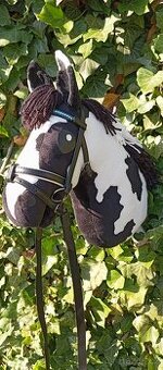 Hobby horse - 1