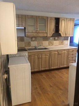 🏡Pronájem bytu 1+1 se zahradou – Petkovy u Mladé Boleslavi