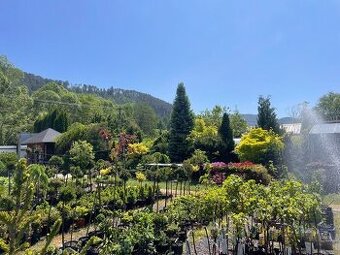 Prodej pozemku na Slovensku