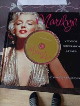 Marilyn v textech, obrazech a písních