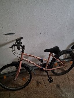 Dětské horské kolo - AUTHOR HOLLYWOOD