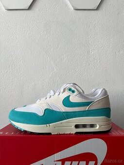 Nike Air Max 1 Dusty Cactus- 42,5 | 43