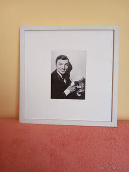 Karle Gott zamlada - zasklené fotografie - 1