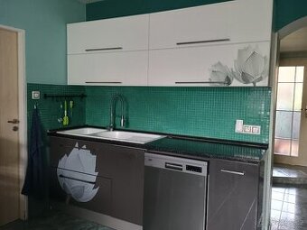 Prodám rodinný dům s investičním potenciálem