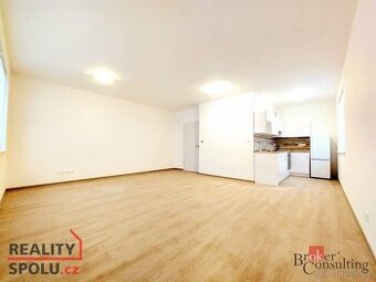 Pronájem, byty/1+kk, 42 m2, Na Jíkalce 3051/19, Jižní Předmě
