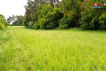 Prodej pozemku k bydlení, 10664 m², Vlašim - 1