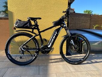 Elektrokolo Giant