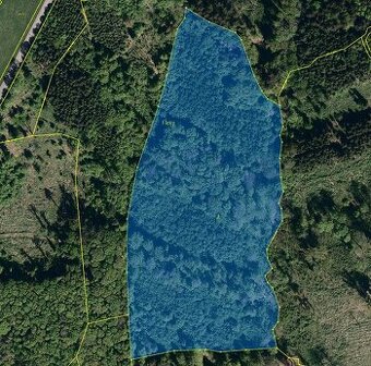 Prodej nevytěženého lesa u Luhačovic - 3,25 ha