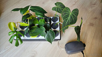 ClonAir Aero řízkovnice pro 15 rostlin