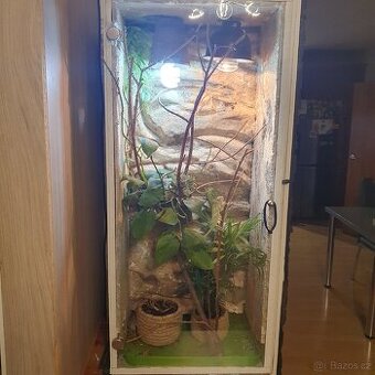 Terárium pro chameleona 100× 50 ×35
