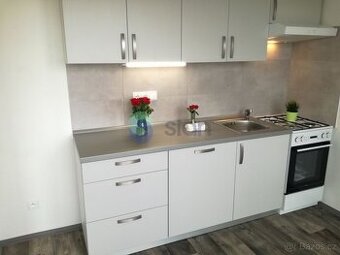 Podnájem bytu 1+1 38 m2, ul. Gen.Hrušky 1214/24, Ostrava - M