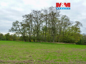 Prodej lesa v Drahobuzi