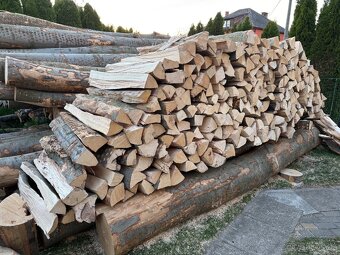 AKCE – PALIVOVÉ TVRDÉ DŘEVO - 1