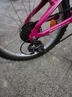 Dívčí kolo 20" - 1