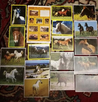 Koně - suvenýry, figurky, sošky, obrázky, pexesa, nálepky..