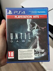 Until Dawn PS4/PS5