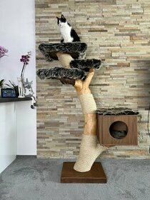 Kočičí strom s boudičkou