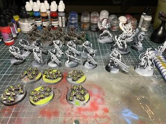 Warhammer 40k Necroni armáda