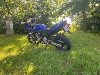 Honda CB 600 Hornet