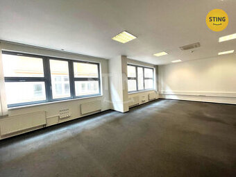 Pronájem komerčního prostoru 244 m2. , 134871