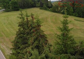 Stavební pozemek 2968 m2 - Slaná - Hořensko, okr. Semily - 1