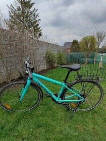 Cannondale