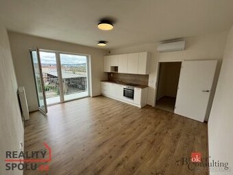 Pronájem, byty/1+kk, 32 m2, Křenová 551/43, 60200 Brno, Brno
