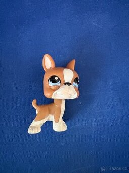 Littlest Pet Shop #1079 Boston Teriér
