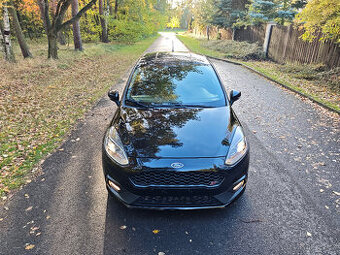 Ford Fiesta MK8 ST,1.5 147KW,6/2018,17"alu, POUZE 67xxxkm