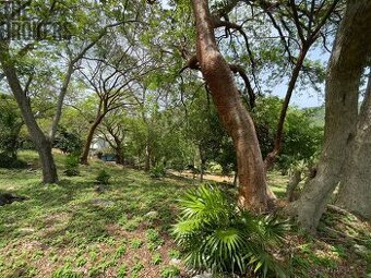 LOT 5 Bodden Bight Estate, Roatan