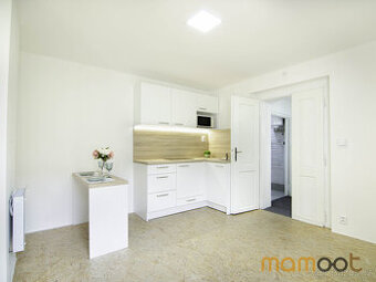 Čelákovice, pronájem bytu 2+kk s terasou, 38 m2