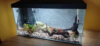 Zařízené akvárium