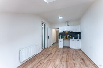 Pronájem bytu 1+kk s terasou, Praha 6