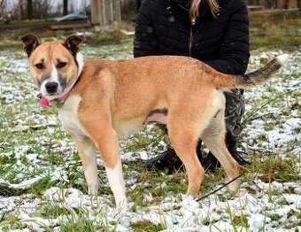 FLAVIA K ADOPCI - 2 ROKY, USMĚVAVÁ, KAMARÁDSKÁ