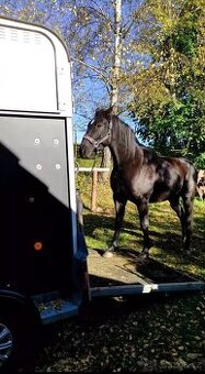 Půjčení, pronájem, výuka vozík/přepravník