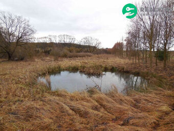 Zahrada Bezemín - 1