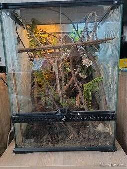 Prodám terárium